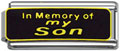 In memory of son Italian charms